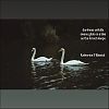 'darkness unfolds / swans glide on a lake / as the forest sleeps' by Katherine Winnick