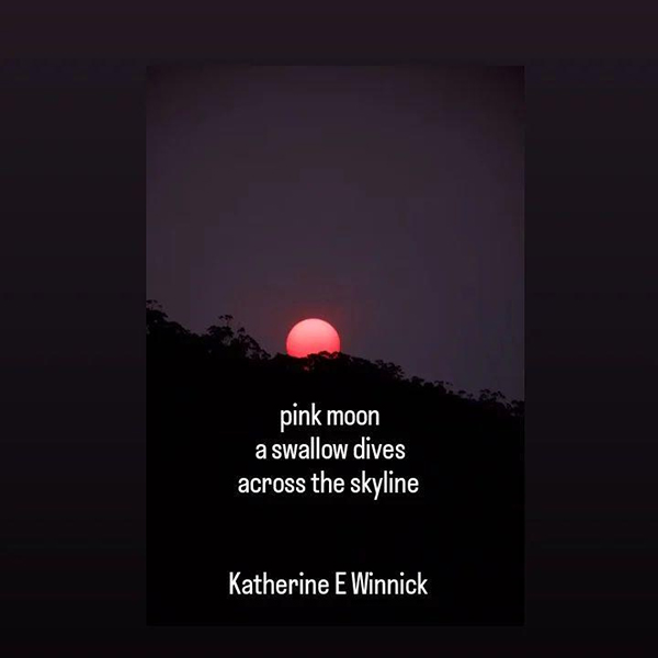 'pink moon / a swallow dives / across the skyline' by Katherine Winnick