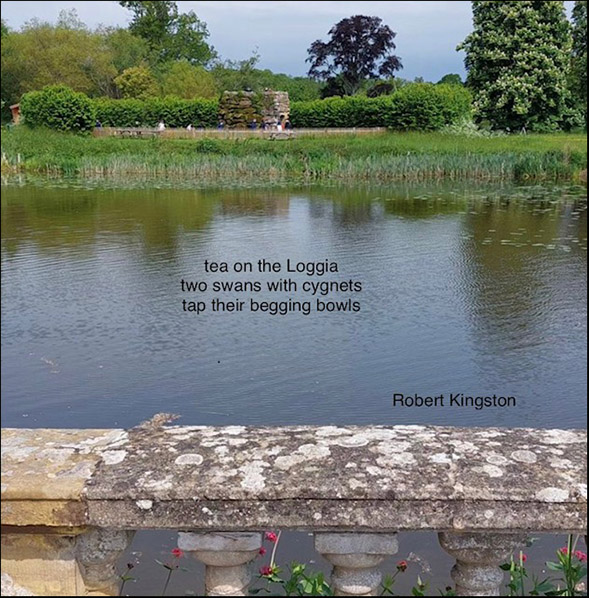'tea on the loggia / two swans with cygnets / tap their begging bowls' by Robert Kingston