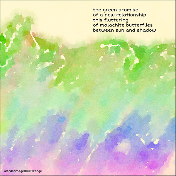 'the green promise / of a new relationship / this fluttering / of malachite butterflies / between sun and shadow' by Debbie Strange.  Tanka first published in Songbirds Anthology 2022