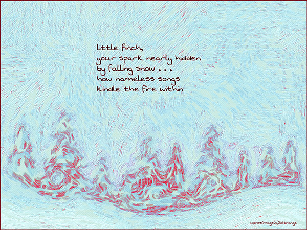 'little finch / your spark nearly hidden / by falling snow... / how nameless songs / kindle the fire within' by Debbie Strange. Tanka first published in Cattails April 2023