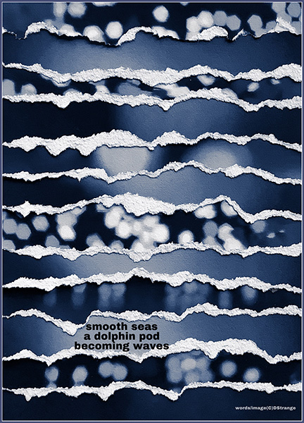 'smooth seas / a dolphin pod / becoming waves' by Debbie Strange. Haiku first published in Tsuri-doro 14, 2023