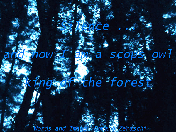 'silence... / and now I am a scops Owl / king of the forest' by Romano Zeraschi