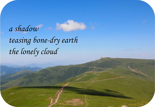 'a shadow / teasing the bone-dry earth /  the lonely cloud' by Vicki Copp. Haiku first published in All Poetry, Feb 2022
