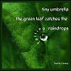 'tiny umbrella / the green leaf catches the / falling raindrops' by Sophia Conway
