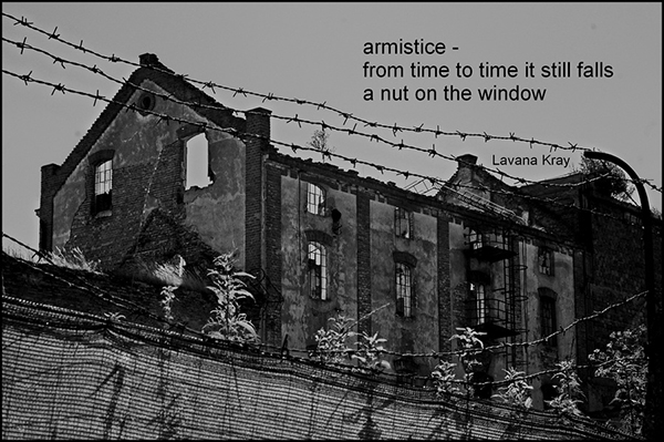 'armistice / from time to time it still falls / a nut on the window' by Lavana Kray