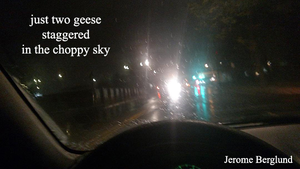 'just two geese / staggered / in the choppy sky" by Jerome Berglund