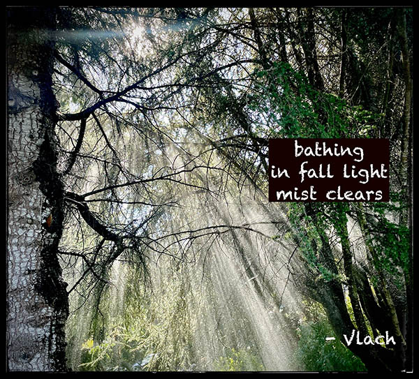 'bathing / in fall light /  mist clears' by William Vlach