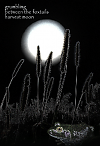 'grumbling / between the foxtails / harvest moon' by Nicole Pakan