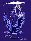 'night lightening— / the swans on teh lake / white again' by Jacek Margolak