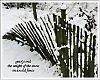 'year's end / the weight n snow / on a old fence' by Jacek Margolak