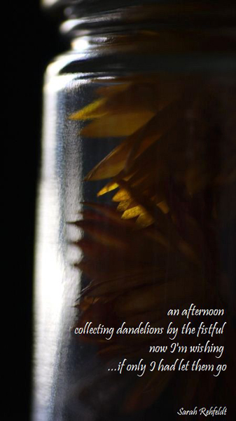 'an afternoon / collecting dandelions by the fistful / now I'm wishing / ...if only I had let them go' by Sarah Rehfeldt.
