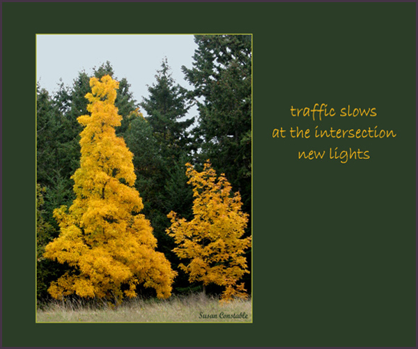 'traffic slows / at the intersection / new lights' by Susan Constable