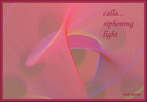 'calla.../ siphoning / light' by Emily Romano