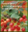 'temple bells / a note of sourness - in the cherries' by Francis Masat. Haiku first published in Frogpond 28"#1, 2005.
