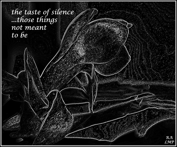 'the taste of silence / ...those things / not meant /  to be' by Raquel Aloyz