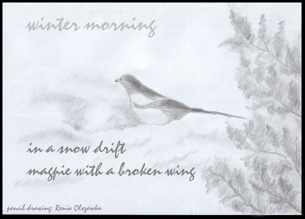 ' in a snow drift / magpie with a broken wing' by Andrzej Dembonczyk. Art by Renia Olszowka.