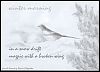' in a snow drift / magpie with a broken wing' by Andrzej Dembonczyk. Art by Renia Olszowka.