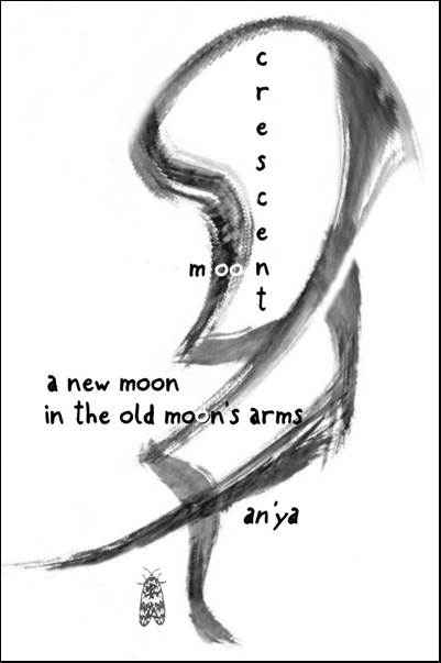 'crescent moon/a new moon /  in the old moon's arms' by an'ya