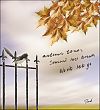 'autumn tones / season's last breath / won't let go' by Rod Tinniswood