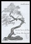'autumn / leaves have fallen / from the bonsai' by Andrzej Dembonczyk. Drawing by Regina "Renia" Olszowka. Haiku first published in Asahi - October 30, 2009