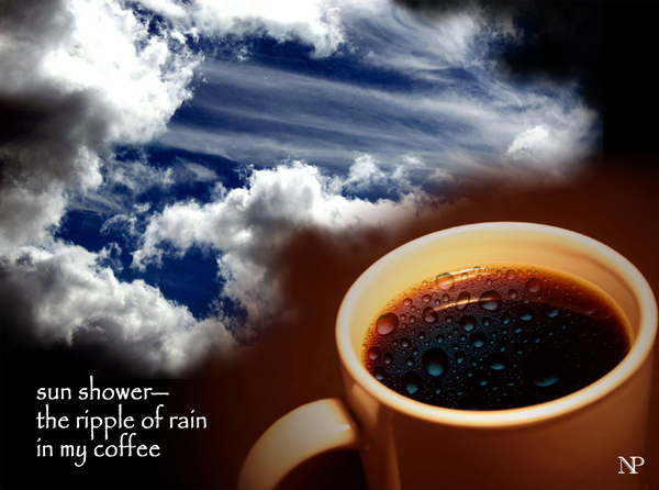 'sun shower� / the ripple of rain / in my coffee' by Nicole Pakan.