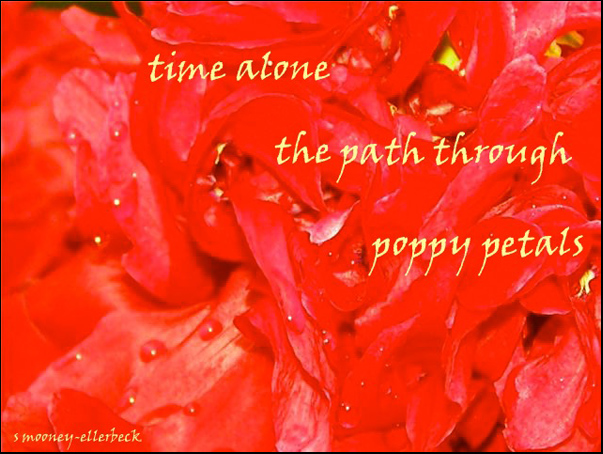 'time alone / the path through / poppy petals' by Sandra Mooney-Ellerbeck. Art by Kayla Ellerbeck.
