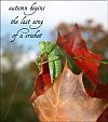 "autumn begins / the last song / of a cricket' by Jacek Margolak.