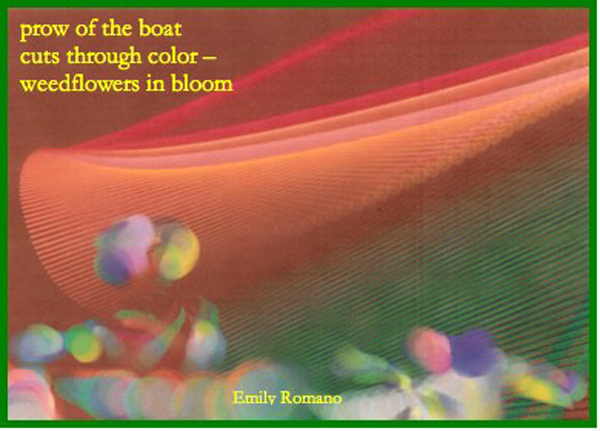 'prow of the boat / cuts through color / weedflowers in bloom' by Emily Romano