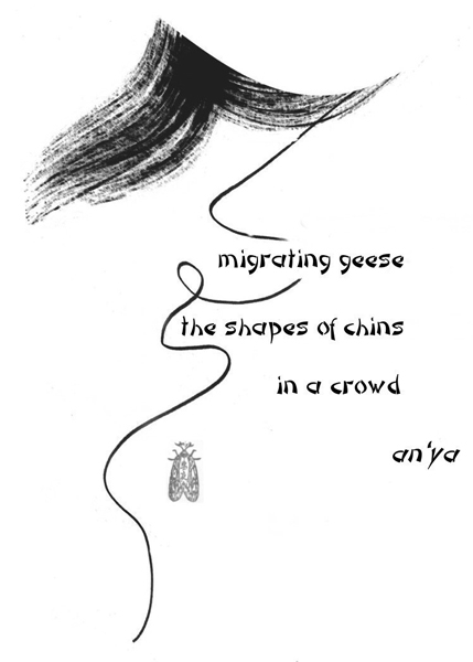 'migrating geese / the shapes of chins / in a crowd' by an'ya
