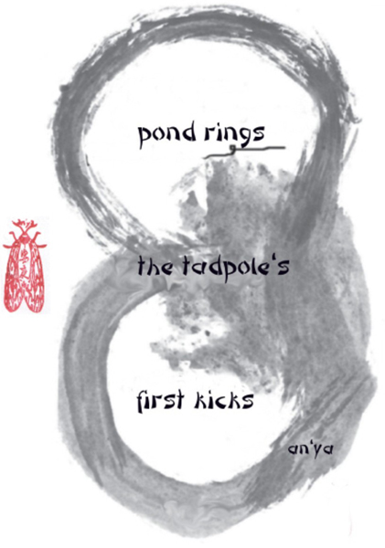 'pond rings / the tadpole's  / first kicks' by an'ya