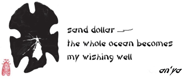 'sand dollar / the whole ocean becomes / my wishing well' by an'ya