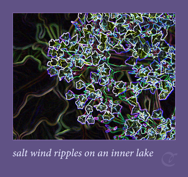 'salt wind ripples on an inner lake' by Cherie Hunter Day. Haiku was runner-up in the Haiku Now! Contest 2010