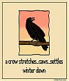 'a crow stretches...caws...settles / winter dawn' by Violette Rose-Jones