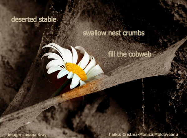 'deserted stable / swallow nest crumbs / fill the cobweb' by Cristina-<Monica Moldoveanu. Art by Lavana Kay.