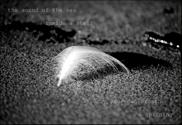 'the sound of the sea / inside a shell / is only your own breath / spinning' by Erika Luckert.