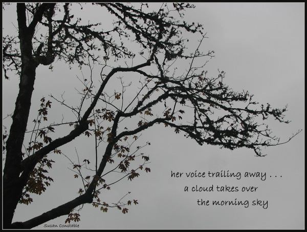 'her voice trailing away... / a cloud takes over / the morning sky' by Susan Constable.