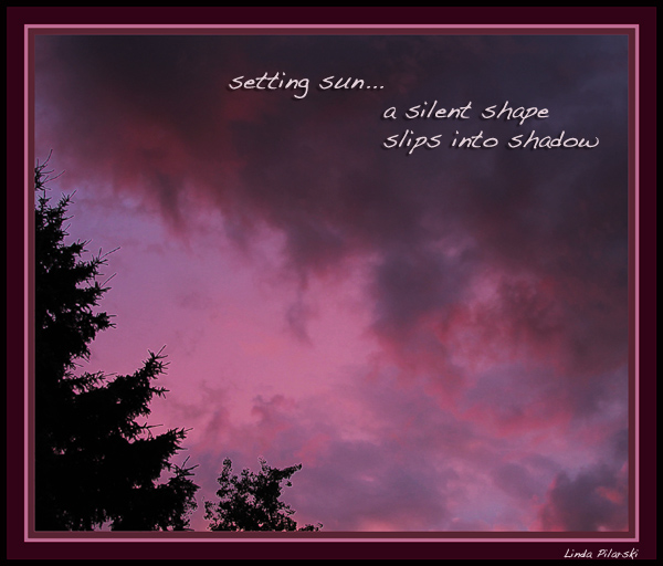 'setting sun... / a silent shape / slips into shadow' by Linda Pilarski