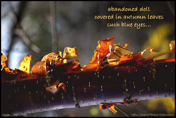 abandoned doll / covered in autumn leaves / such blue eyes' by Cristina-Monica Moldoveanu. Art by Lavana Kray.