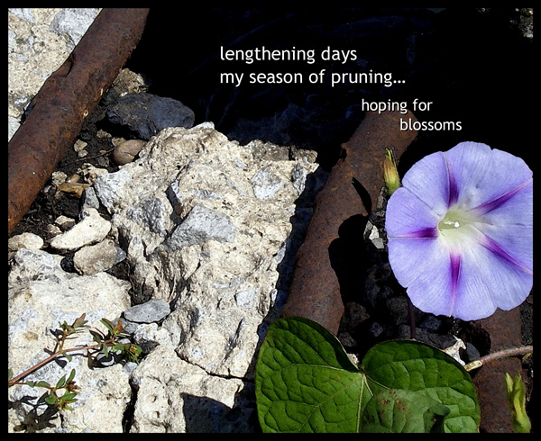 'lengthening days/my season of pruning... / hoping for blossoms' by Ron Kirkland