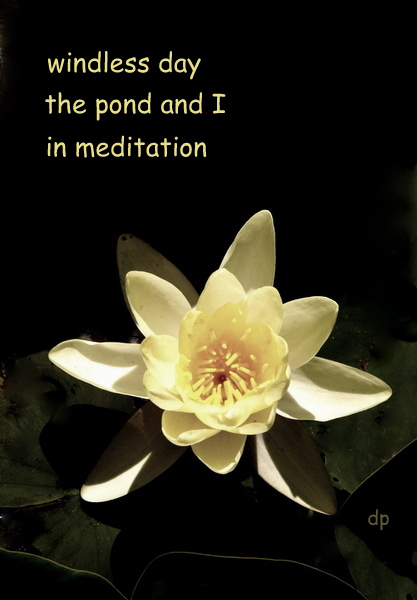 'windless day / the pond and I / in meditation' by Dorota Pyra.