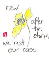 'new/after the storm / we rest our case' by Beth McFarland