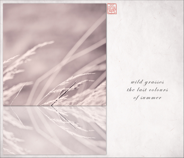 'wild grasses / the last colors / of summer' by Ron Moss