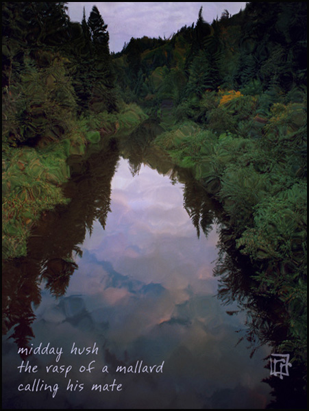 'midday hush / the rasp of a mallard / calling his mate' by Ray Rasmussen. Haiku first published in The Heron's Nest, 2006.