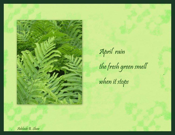 'April rain / the fresh green smell / when it stops' by Adelaide Shaw