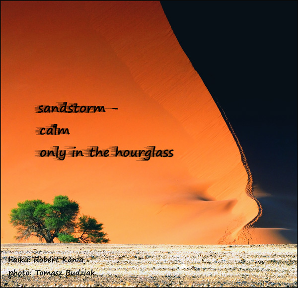 'sandstorm / calm / only in the hourglass' by Robert Kania. Art by Tomaz  Budziak.