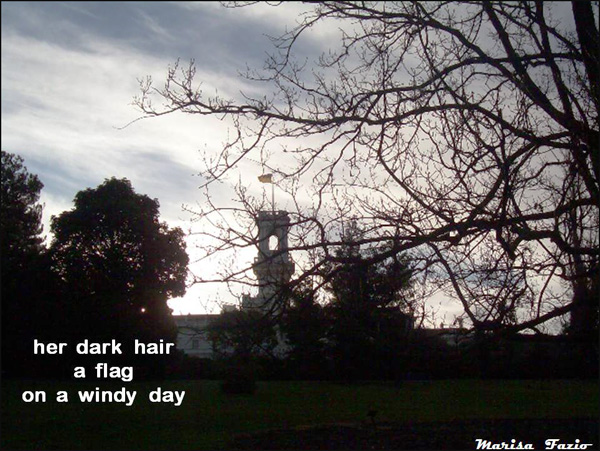'her dark hair / a flag / on a windy day' by Marisa Fazio