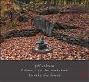 'fall colours / I leave it to the inukshuk / to rake the leaves' by Ray Rasmussen