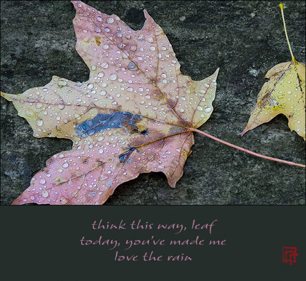 'think this way leaf / today, you've made me / love the rain' by Ray Rasmussen