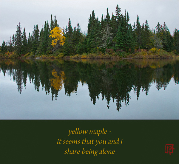 'yellow maple� / it seems that you and I / share being alone' by Ray Rasmussen